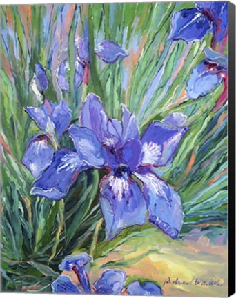 Framed Iris Print