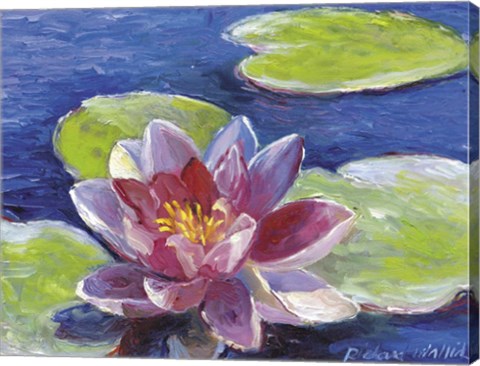 Framed Lily Pad Flowers Print