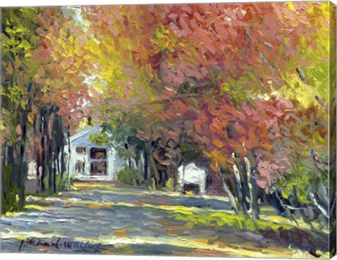 Framed Ocean Park Print