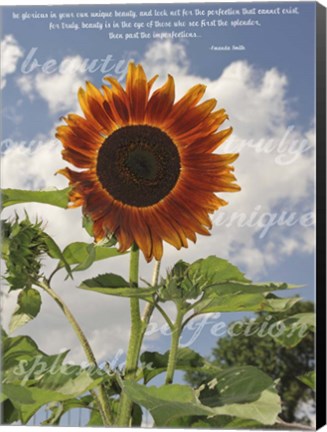 Framed Perfection in the Eye of the Beholder Print