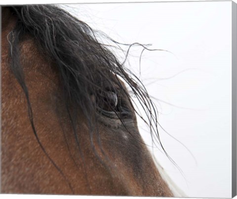Framed Whips Eye Print