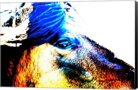 Framed Mustang Sally Print