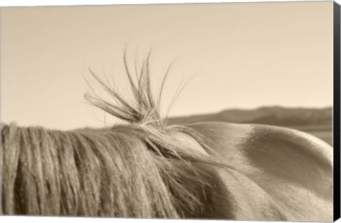 Framed Bareback Hold Print