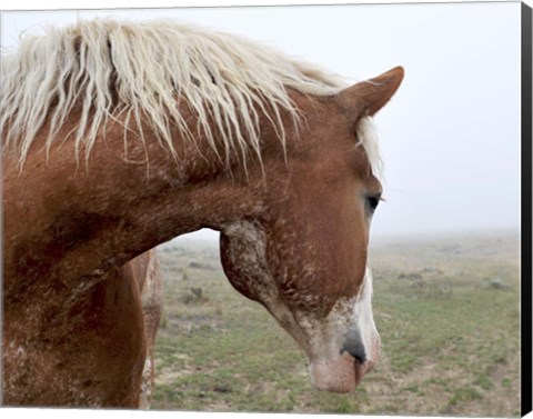 Framed Dreaming In The Mist Print