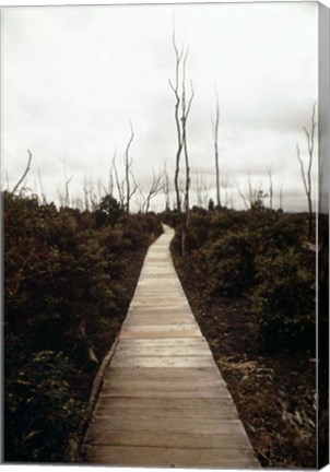 Framed Devastation Trail Print