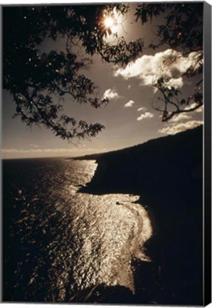Framed Maui Print