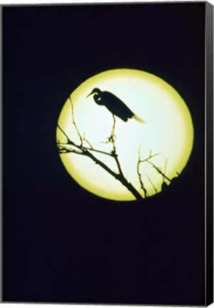 Framed Egret Silhouette Print