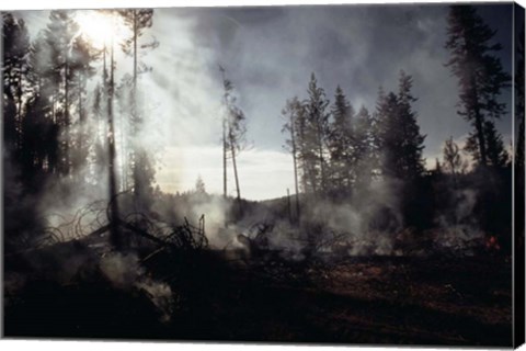 Framed Granite Fire II Print