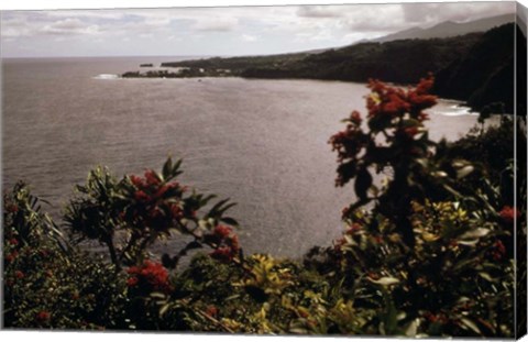 Framed Honomanu Bay Print