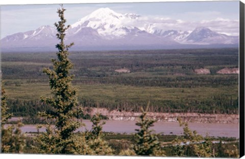 Framed Mt Drum Print