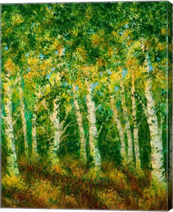 Framed Birch Trees Print