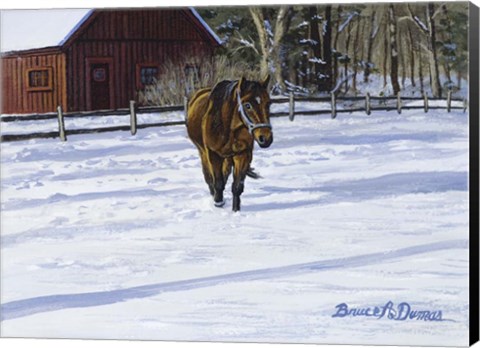 Framed Afternoon Stroll Print