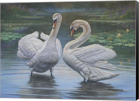 Framed Don't Be Shy Print