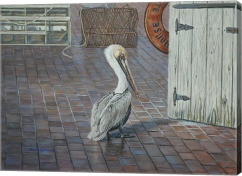 Framed Petes&#39; Pelican Print