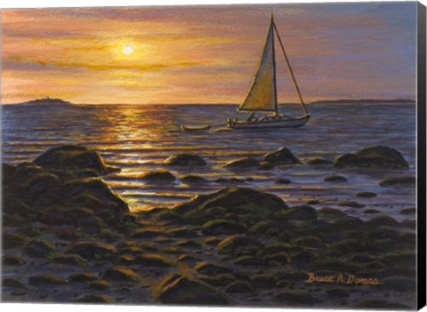 Framed Sail Boat At Napa Tree Pt. Print