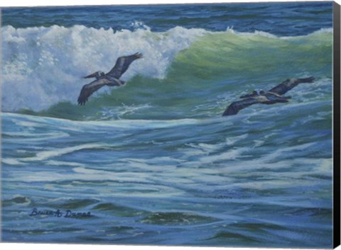 Framed Pelican Skimmers Print