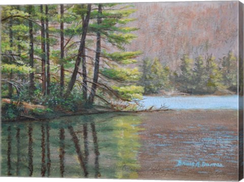 Framed Pine Lake Print