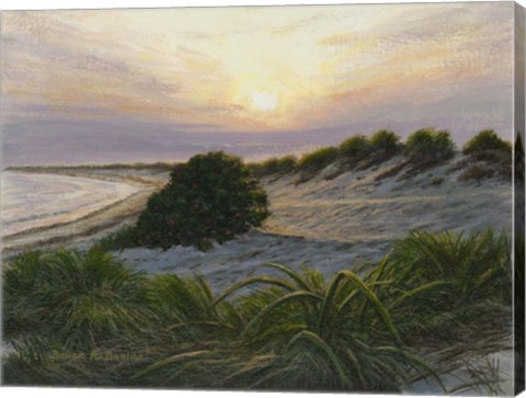 Framed Radiance Print