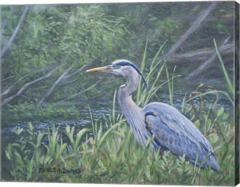 Framed On Watch Print