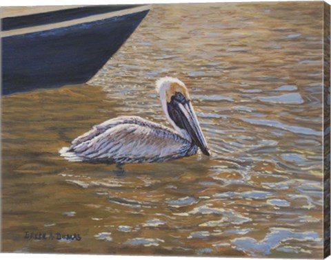 Framed Sparkling Water Pelican Print