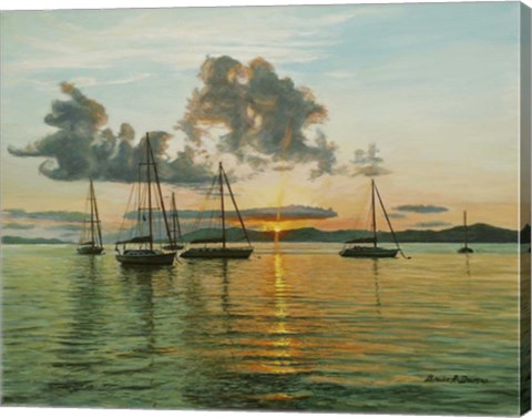 Framed Virgin I Slands Print