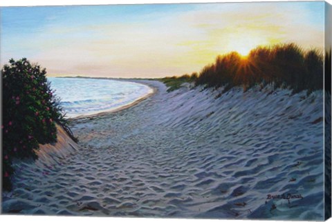 Framed Dune Burst Print