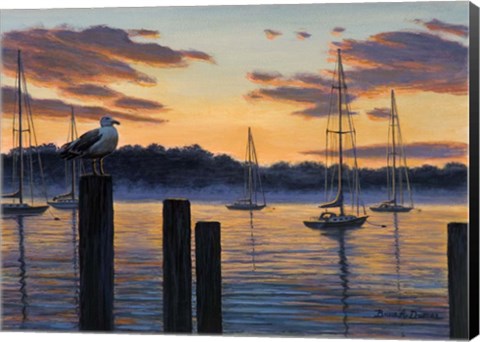 Framed Sea Gull And Sails Print