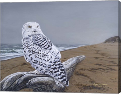 Framed After The Storm Print