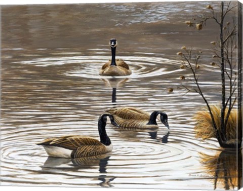 Framed North Carolina Geese Print