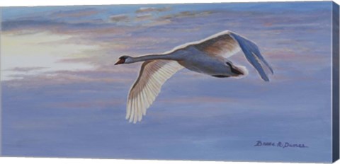 Framed Wind Rider Print