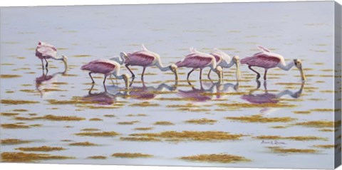 Framed Spoonbills Feeding Print