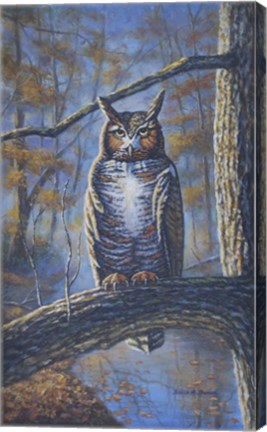 Framed Great Horned Owl Print