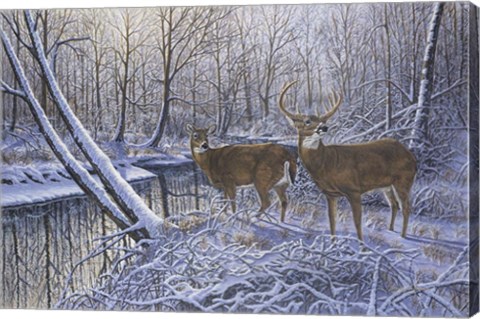 Framed On Alert Print