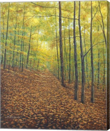 Framed Autumn Trail Print