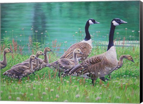 Framed Goose Family Outing Print