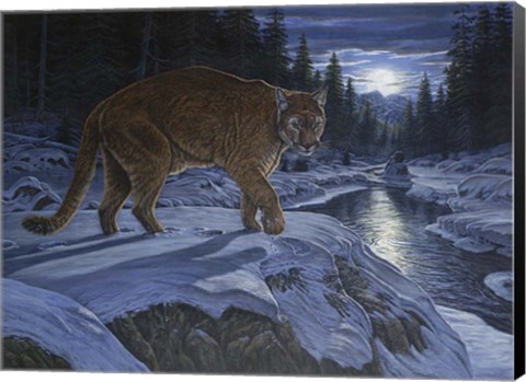 Framed Night Stalker Print