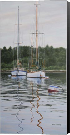 Framed Stonington Beauties Print