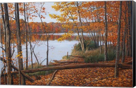 Framed Crescent Lake Print