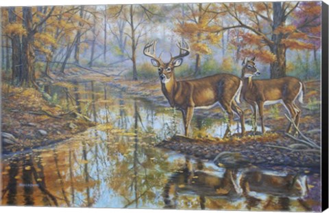 Framed Brookside Retreat - Whitetails Print