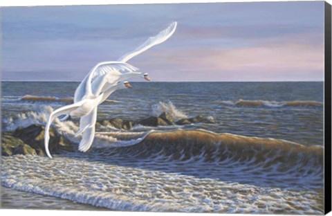 Framed Wave Skimmers Print