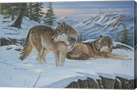 Framed Vantage Point Wolves Print
