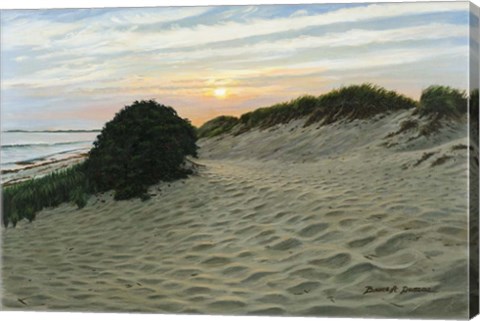 Framed Dune Walk Print