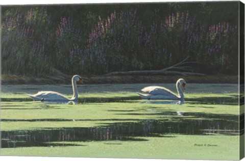 Framed Lovers Cruise Print