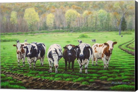 Framed Curious Cows Print