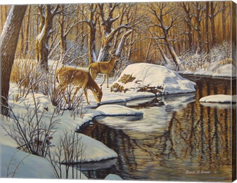 Framed Quinnipiac River White Tails Print