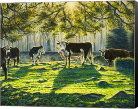 Framed Lucky Bull Print