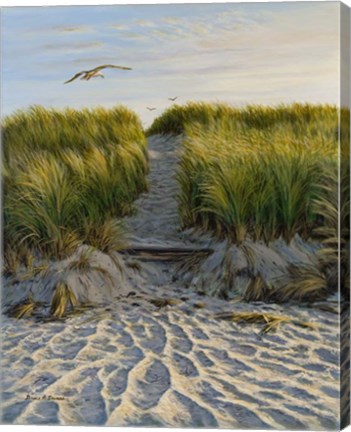 Framed Dune Path Gull Print