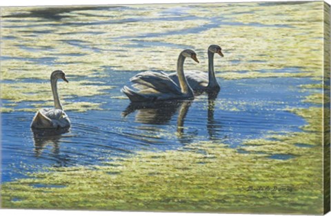 Framed Three&#39;s Company Print