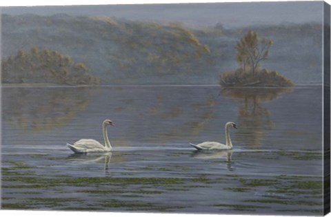 Framed Misty Morning Print