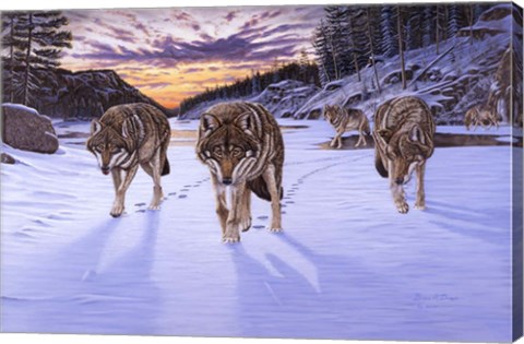 Framed Born To Be Wild Print